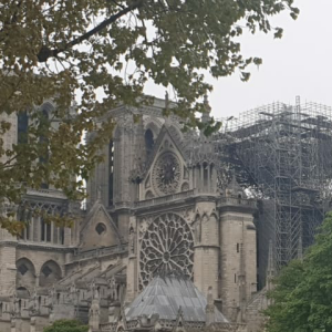 Przewodniczący Episkopatu apeluje o wsparcie odbudowy katedry Notre-Dame